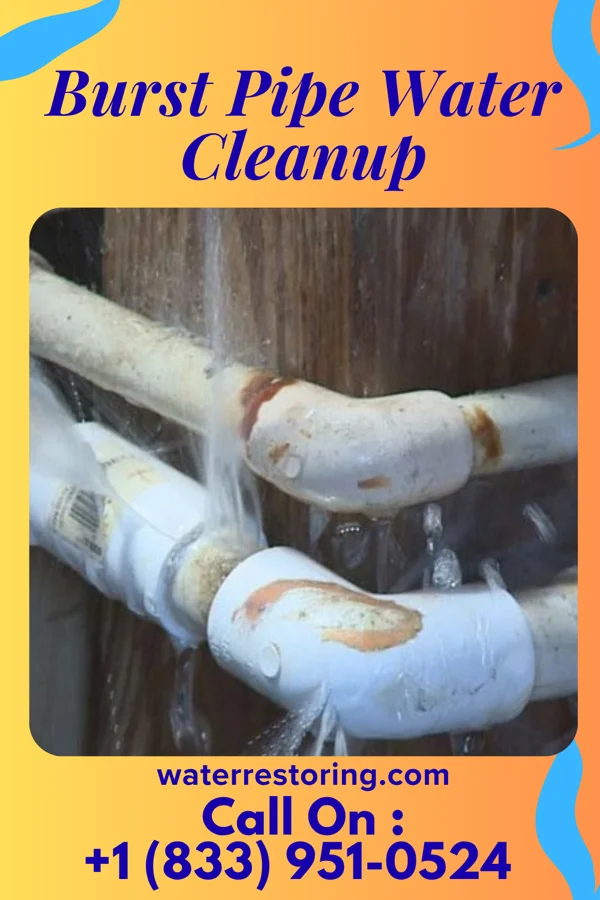 Burst Pipe Water Cleanup in Twin Lakes, OK